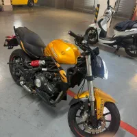 بنلی 300 زر ورقی