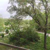 یکی از تاپ لوکیشن های دهکده المپیک