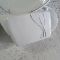 سرویس پذیرای  چینی