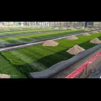 چمن مصنوعی زمین چمن  فوتبالی|خدمات باغبانی و درختکاری|مشهد, امیر المومنین|دیوار