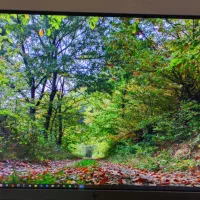 مانیتور کامپیوتر hp e223  الایت