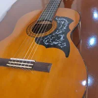 گیتار C40|گیتار، بیس، امپلیفایر|قم, باجک دو|دیوار