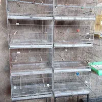 قفس چهار خان|لوازم جانبی حیوانات|شوشتر, |دیوار