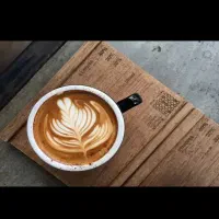 استخدام‌‌نیروی‌باریستا