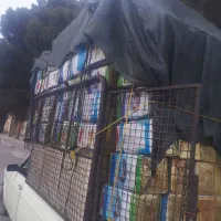 خ.ریدار هلب حلب قوطی|خدمات پیشه و مهارت|رباط‌کریم, الارد|دیوار