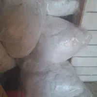 پشتی  با فیبری