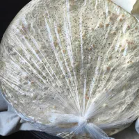 فروش نان خانگی