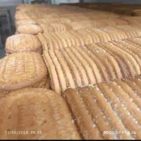 تولیدی بیسکویت پخش بیسکوییت