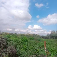6000متر مربع خونه محوطه سندار|فروش خانه و ویلا|احمدسرگوراب, |دیوار