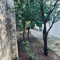 خانه ویلایی بهترین لوکیشن|فروش خانه و ویلا|بندر انزلی, تهران|دیوار