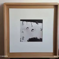 تابلو|تابلو، نقاشی، عکس|شیراز, گلستان|دیوار