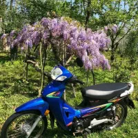 موتورسالم مزایده