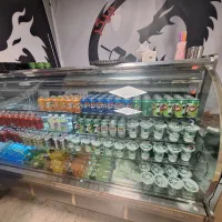 یخچال صنعتی موتور فرانسه