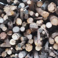 هیزم|عمده‌فروشی|شیراز, شهرک قمشه|دیوار