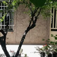 زنجان گردی باسوییت دربست نور در سلطانیه|اجارهٔ کوتاه‌مدت آپارتمان و سوئیت|تهران, الهیه|دیوار