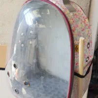 کوله پت
