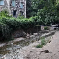 واگذاری مشارکت سفره‌خانه رستوران م استثنایی فشم|اجارهٔ مغازه و غرفه|تهران, مینی‌سیتی (شهرک نفت)|دیوار
