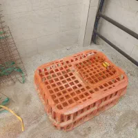 مقداری فنس و دو عدد سبد مرغی