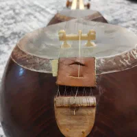 تار حرفه ای