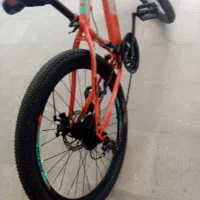 دوچرخه|دوچرخه، اسکیت، اسکوتر|کوهنجان, |دیوار