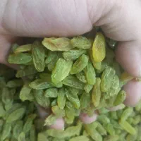 کشمش سبز وافتابی|خوردنی و آشامیدنی|شهرکرد, |دیوار