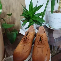 کفش نو|کیف، کفش، کمربند|کرمان, |دیوار