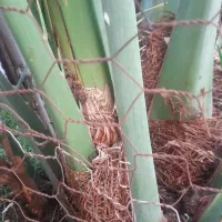 فروشی|حراج|خرمشهر, |دیوار