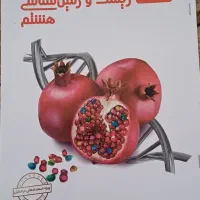 کتاب کمک درسی علامه حلی هشتم|کتاب و مجله آموزشی|شیراز, جانبازان|دیوار