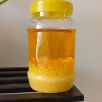 روغن حیوانی