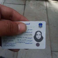 پیدا شدها
