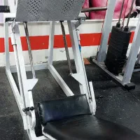 فروش ۲عدد دستگاه بدنسازی|تجهیزات ورزشی|مسجد سلیمان, |دیوار