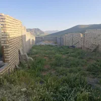 گاوداری صنعتی ۲۰۰۰ متر در چادگان|فروش زمین و ملک کلنگی|چنارود, |دیوار