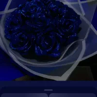 گل رز جاودانه