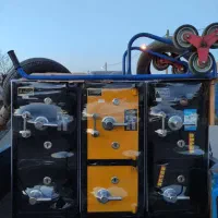 گاو صندوق با رنگ زرد و مشکی