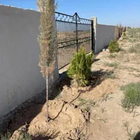 ۲۴۰مترزمین سهیلیه سندتک برگ کاسبی اقساطی|فروش زمین و ملک کلنگی|چهارباغ, |دیوار
