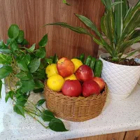 سبد دستبافت