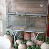 یک عددشش خان پژاوندی درحدنو سالم  سالم