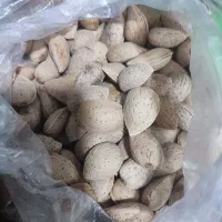 بادام