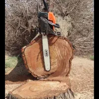 خرید چوب و فروش ذغال