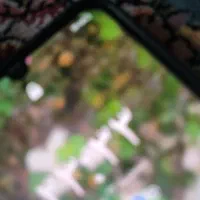 گواهینامه گمشده