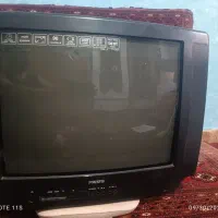 تلویزیون