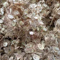 فروشگاه هوشمند