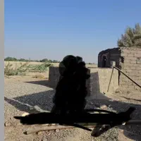 ۱۲ هکتار زمین کشاورزی با یک حلقه چاه اب حسنلنگی