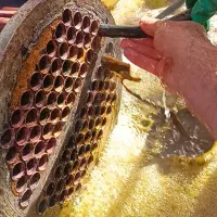 تاسیسات لوله کشی آب و فاضلاب، (تعمیرات)|خدمات پیشه و مهارت|کرمانشاه, |دیوار