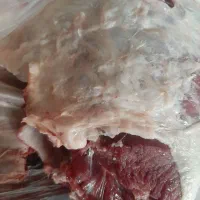 کله پاچه بز