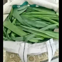 پرموسیر کوهی تازه