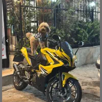 موتور سیکلت 200 RS