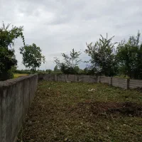 ۲۱۶ متر زمین مسکونی  سند تک برگ  / دستور جواز ساخت|فروش زمین و ملک کلنگی|اسالم, |دیوار