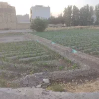 زمین