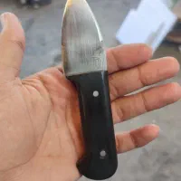 گازن ،خنجر|کلکسیون اشیاء عتیقه|دالاهو, |دیوار